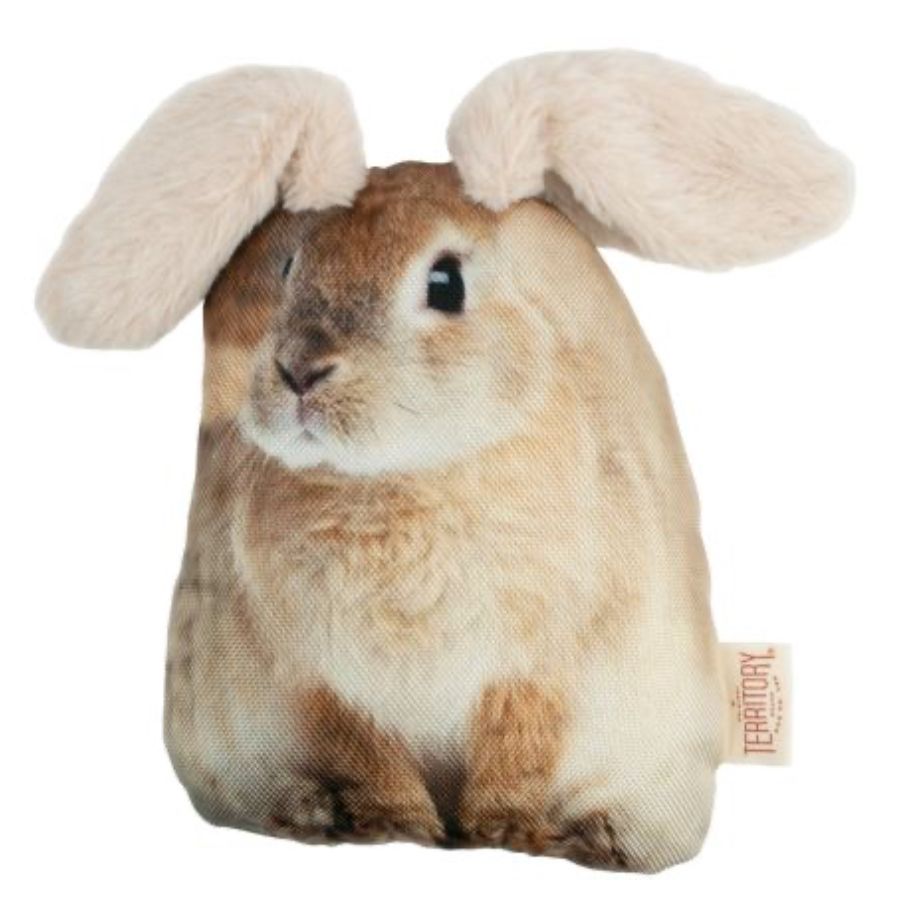 Floppy Ear Rabbit Toy - OT