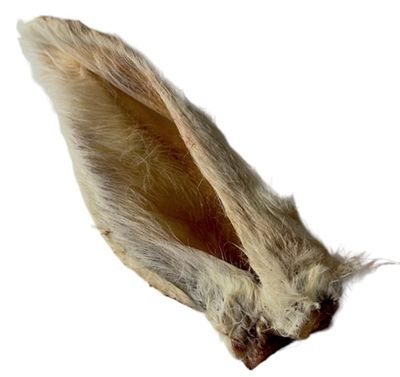 Rabbit Ears Bulk