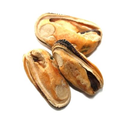 Green Lipped Mussel Treat - Woof