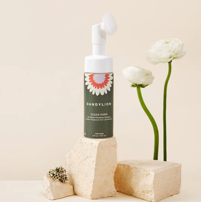 Clean Paws Foaming Cleanser - Dandylion