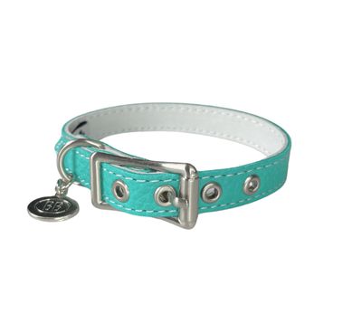 Buddy Belt Collar - Sniffany Blue