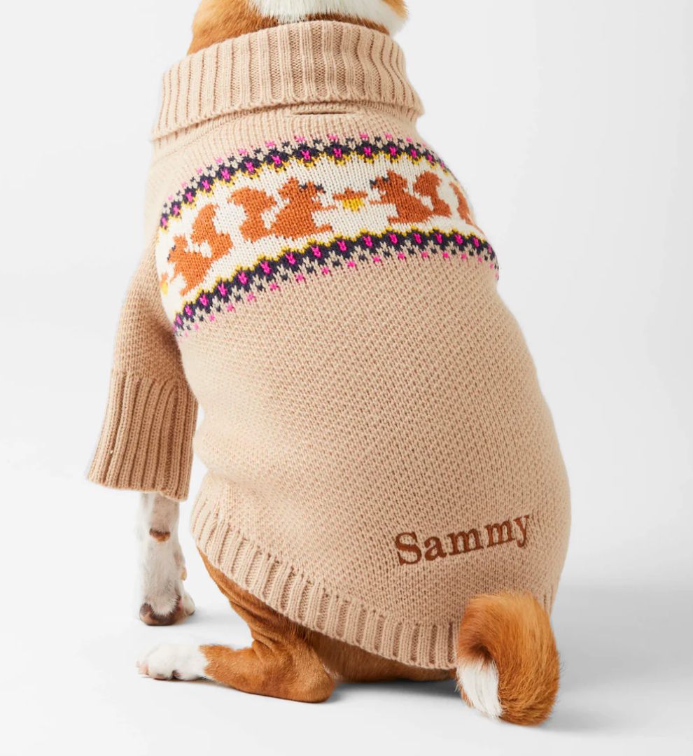 Squirrel Dog Sweater - FD