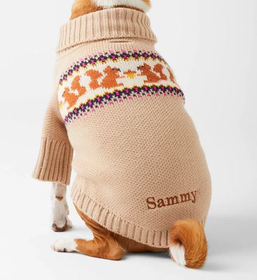 Squirrel Dog Sweater - FD