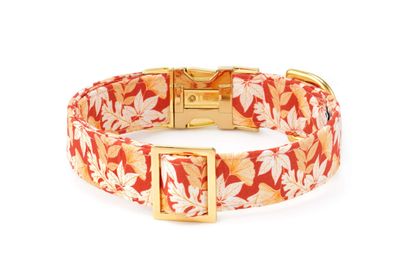Autumn Leaves Collar - FD
