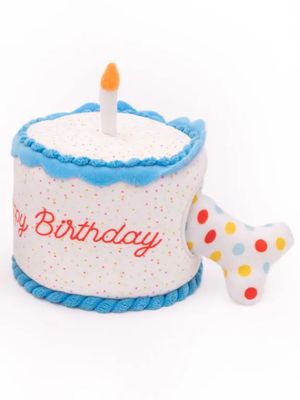 Birthday Cake Hide & Seek Toy - ZP