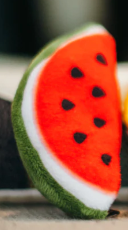 Watermelon Catnip Toy