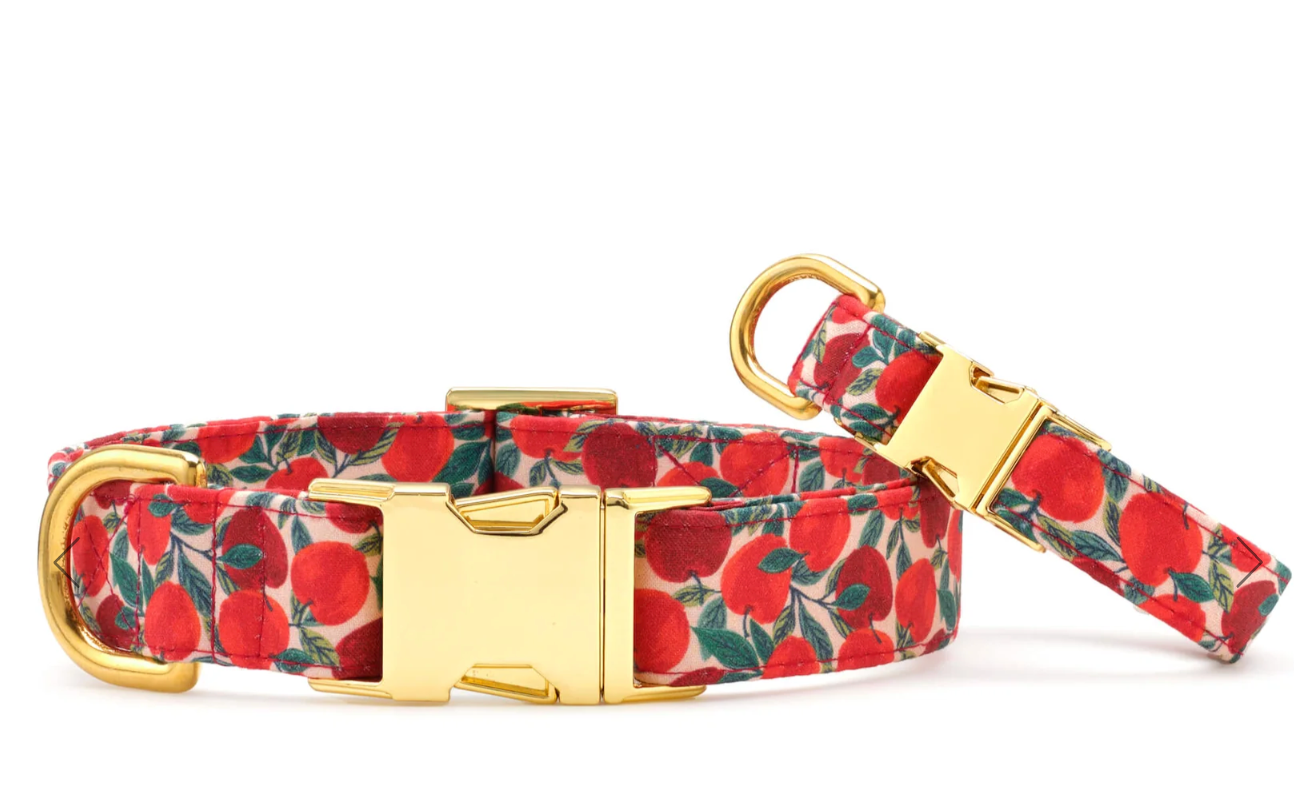 Apple of my Eye Collar - FD