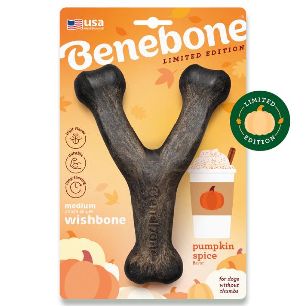 Pumpkin Spice Wishbone - BeneBone