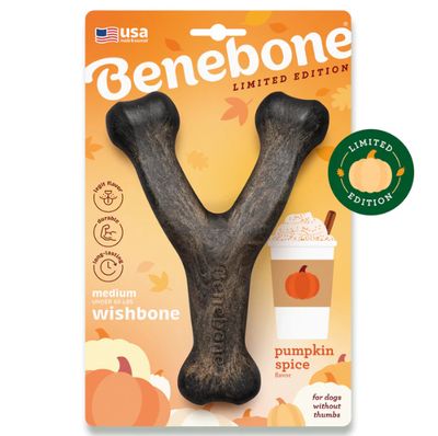 Pumpkin Spice Wishbone - BeneBone