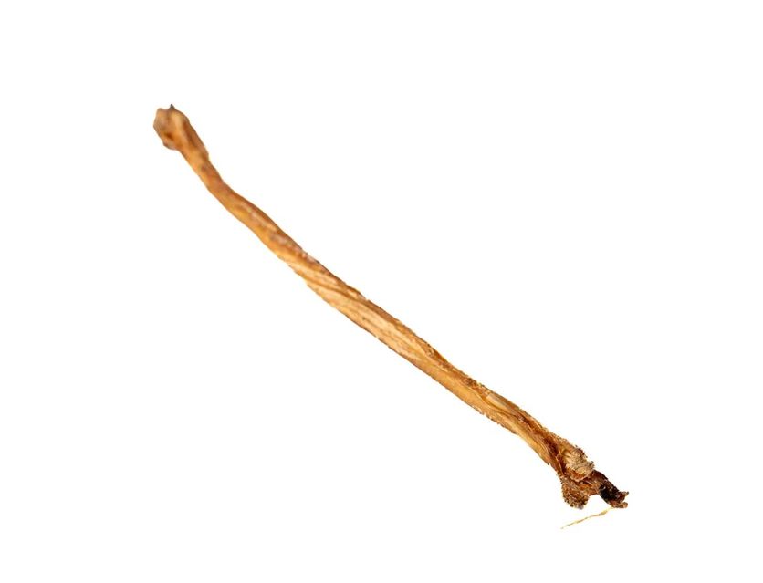 Lamb Bullystick - Only One