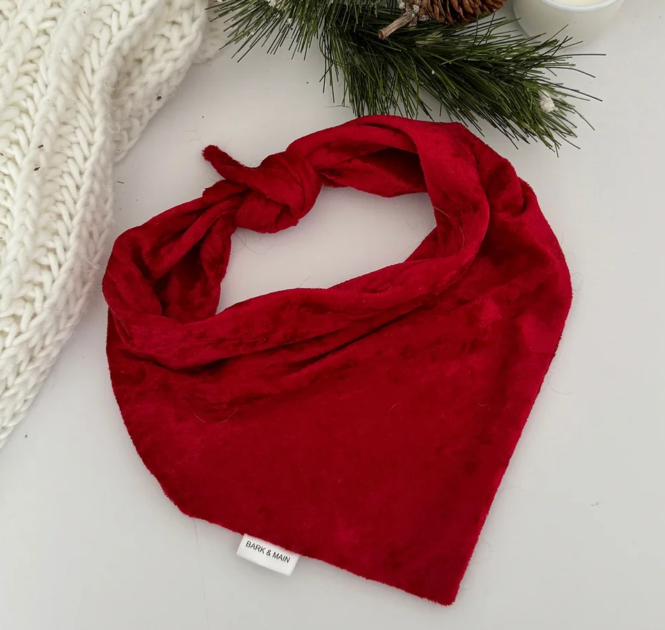 Red Velvet Bandana - BM