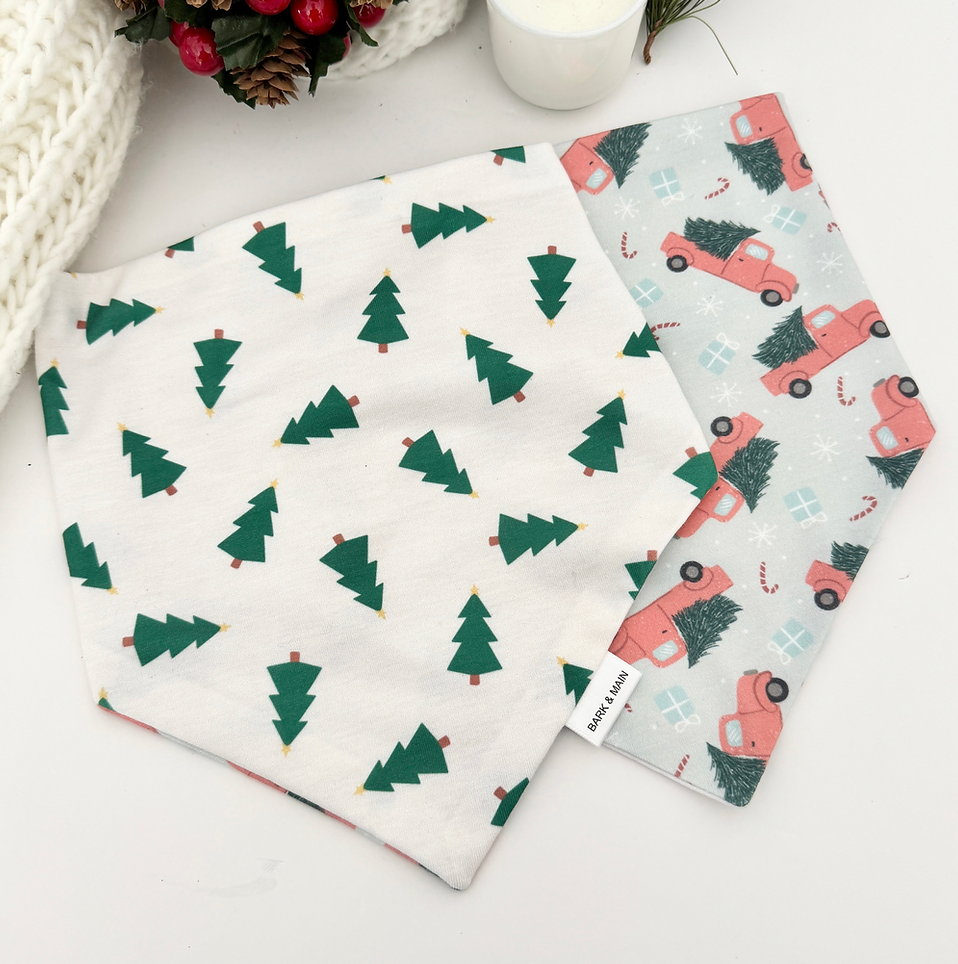 Red Truck &amp; Tress Reversible Bandana - BM