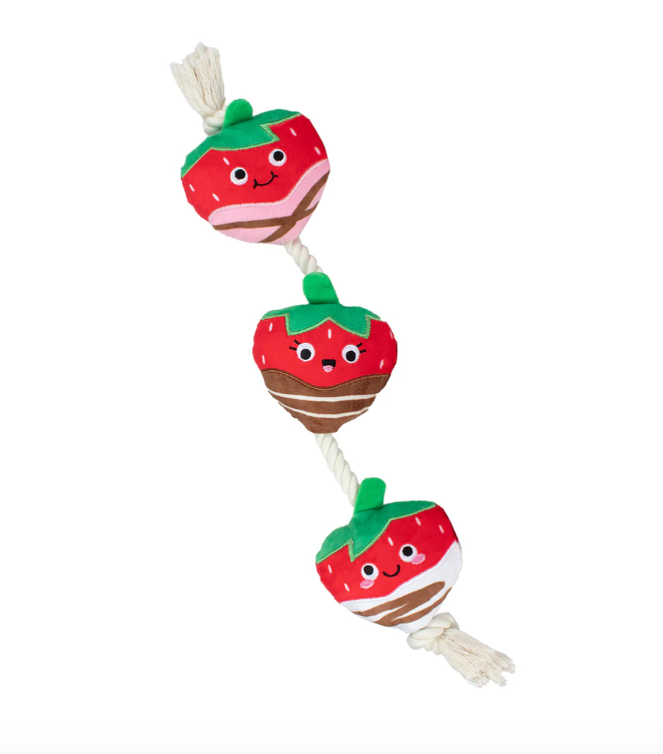 Chocolate Strawberry Rope Toy - FS