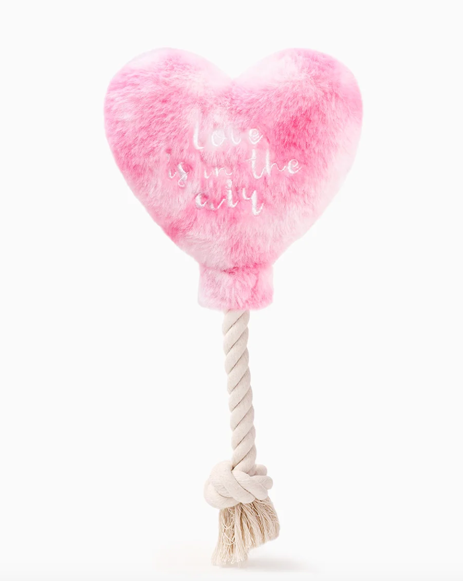 Heart Balloon Rope Toy - HS 