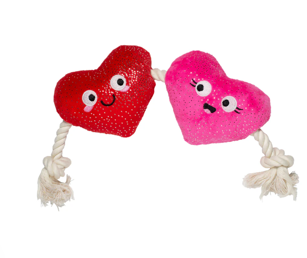 Hearts on a Rope Toy - FS