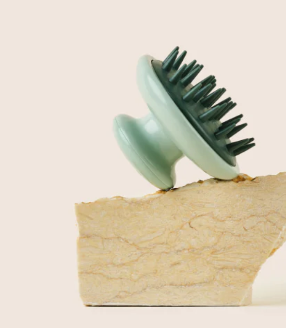 Scrub Brush - Dandylion 