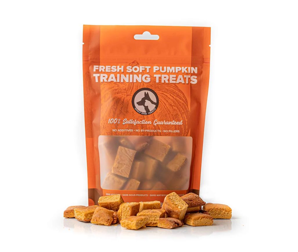 Fresh Soft Pumpkin Training Treats - Only One