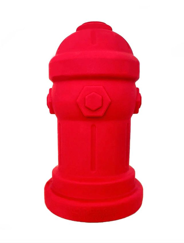 Potty Training Fire Hydrant