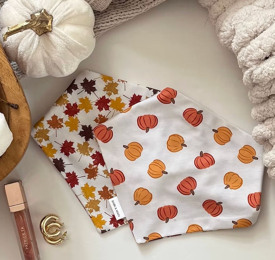 Pumpkin w/ Leaves Reversible Bandana - BM