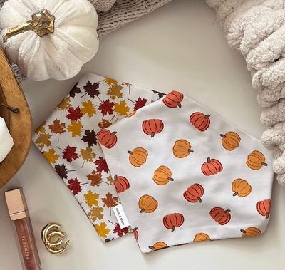Pumpkin w/ Leaves Reversible Bandana - BM