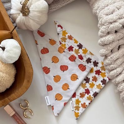 Pumpkin w/ Leaves Reversible Bandana - BM