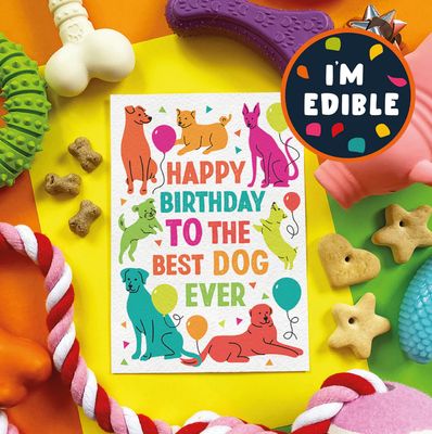 Edible Card - Happy Birthday To The Best Dog Ever Edible Card - Happy Birthday To The Best Dog Ever