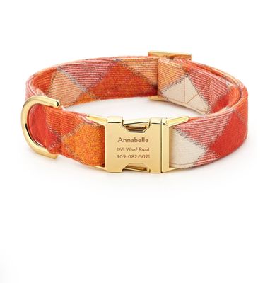 Pumpkin Spice Plaid Collare - FD