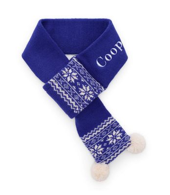 Blue Snow Day Scarf