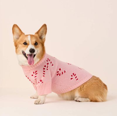 Pink Candy Canes Sweater - FD