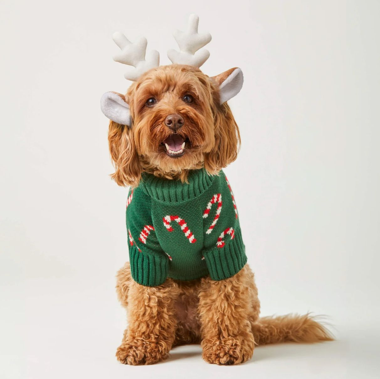 Evergreen Candy Cane Sweater - FD Evergreen Candy Cane Sweater - FD