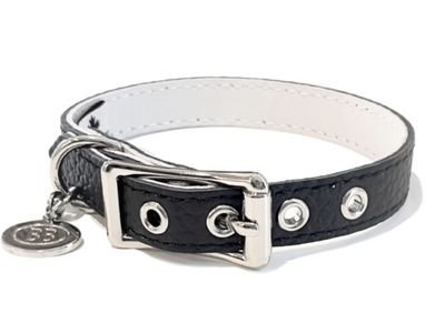 Buddy Belt Collar - Black