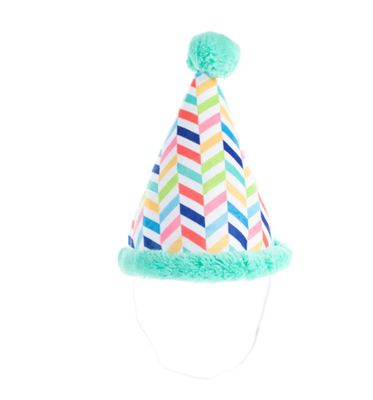 Cheers for Barkday Wearable Hat - FS
