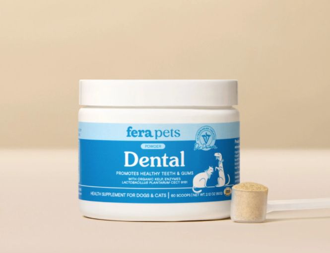 Dental Support for Dogs &amp; Cats - Fera