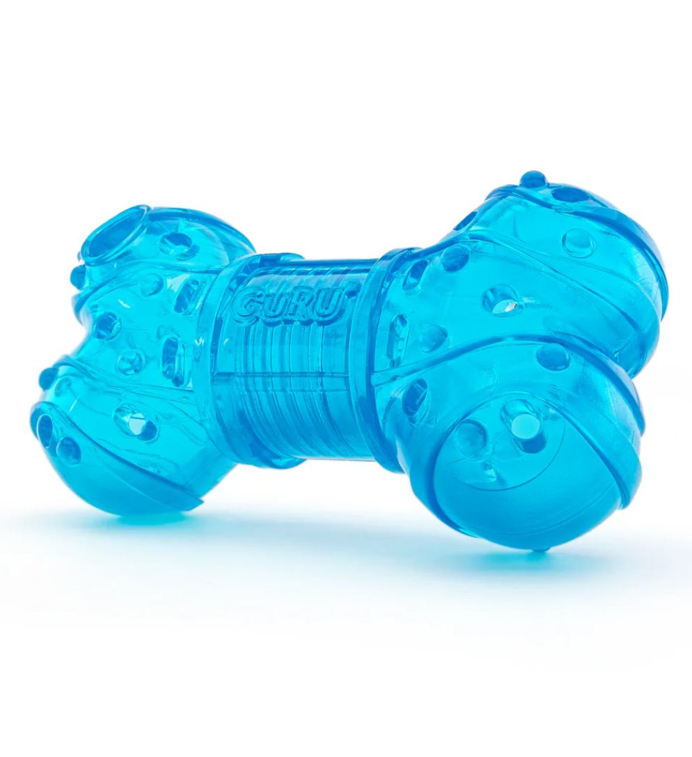 No Begging Bone - Guru