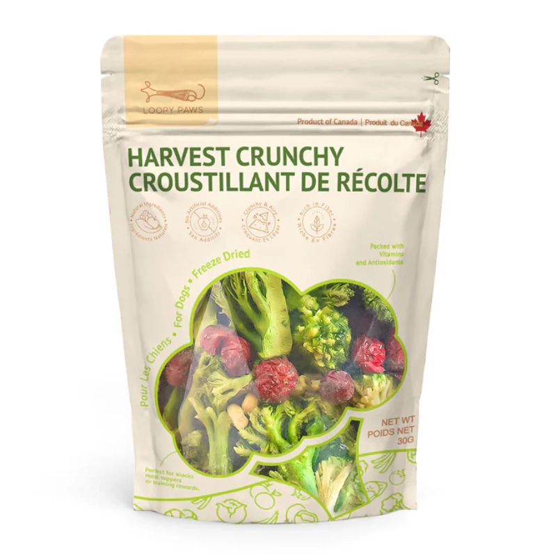 Harvest Crunchy Broccoli - Loopy Paws