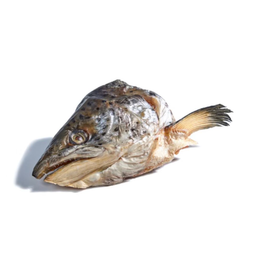 Salmon Head Bulk - JustRaw