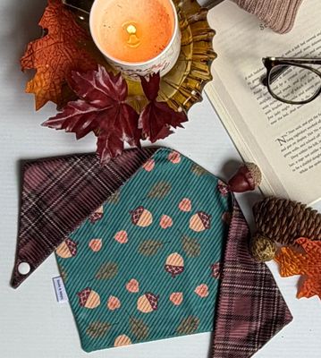 Acorn Harvest Reversible Bandana - BM Acorn Harvest Reversible Bandana - BM
