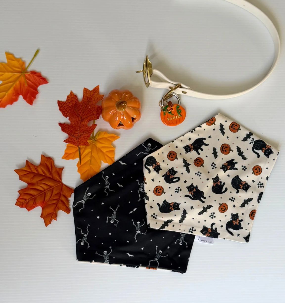 Black Cats W/ Skeletons Reversible Bandana - BM