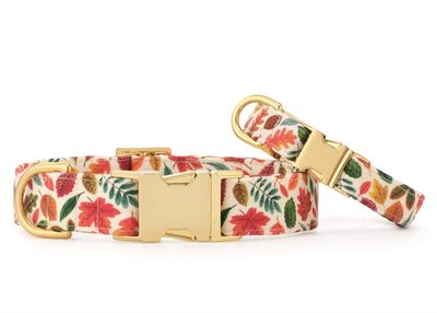 Falling Leaves Collar - FD