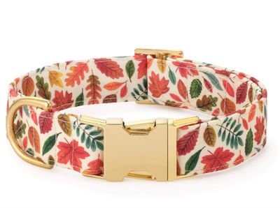 Falling Leaves Collar - FD Falling Leaves Collar - FD