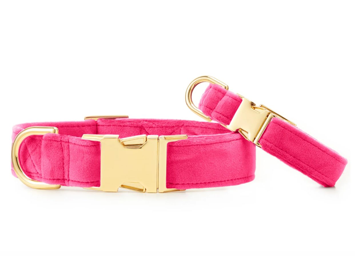 Hot Pink Velvet Collar - FD Hot Pink Velvet Collar - FD