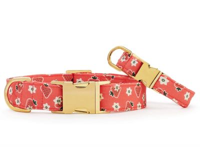 Olipop Strawberry Vanilla Collar - FD
