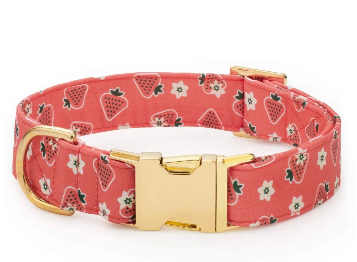 Olipop Strawberry Vanilla Collar - FD