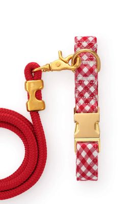 Red Gingham Collar - FD