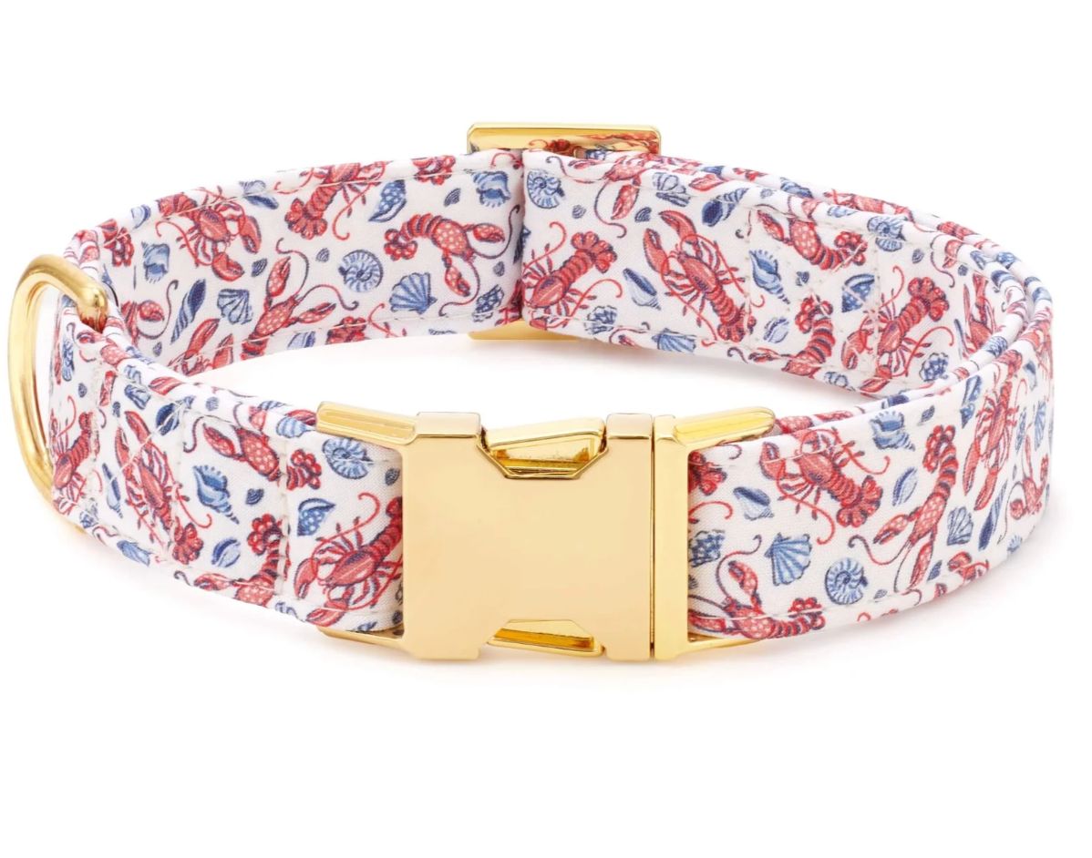 Lobster Landing "Printfresh Colab" Collar- FD