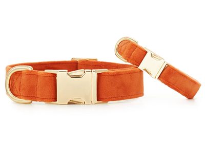 Pumpkin Velvet Collar - FD