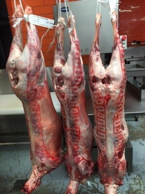 Whole lamb Whole lamb