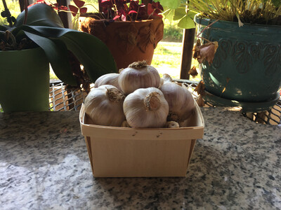 Garlic By The Quart