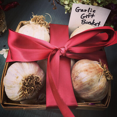 Garlic Gift Basket
