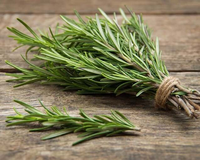 Fresh Rosemary 
